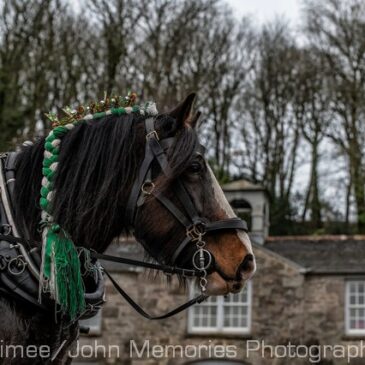 Christmas Tinsel